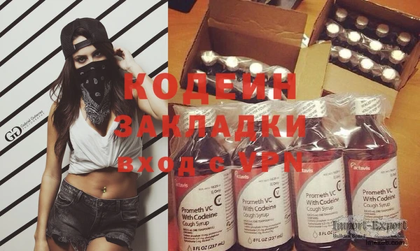 СК Кострома