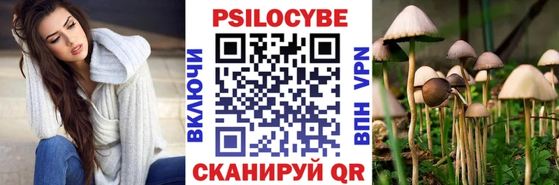 Купить  Лебедянь  Галлюциногенные грибы Psilocybine cubensis 